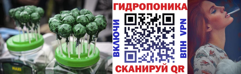 OMG ТОР  цена наркотик  Лаишево  Canna-Cookies марихуана 